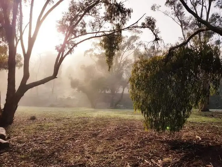 Sixth view of Homely land listing, 813 Strath Creek Road, Tyaak VIC 3658