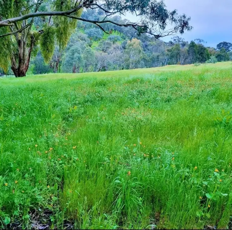 Seventh view of Homely land listing, 813 Strath Creek Road, Tyaak VIC 3658