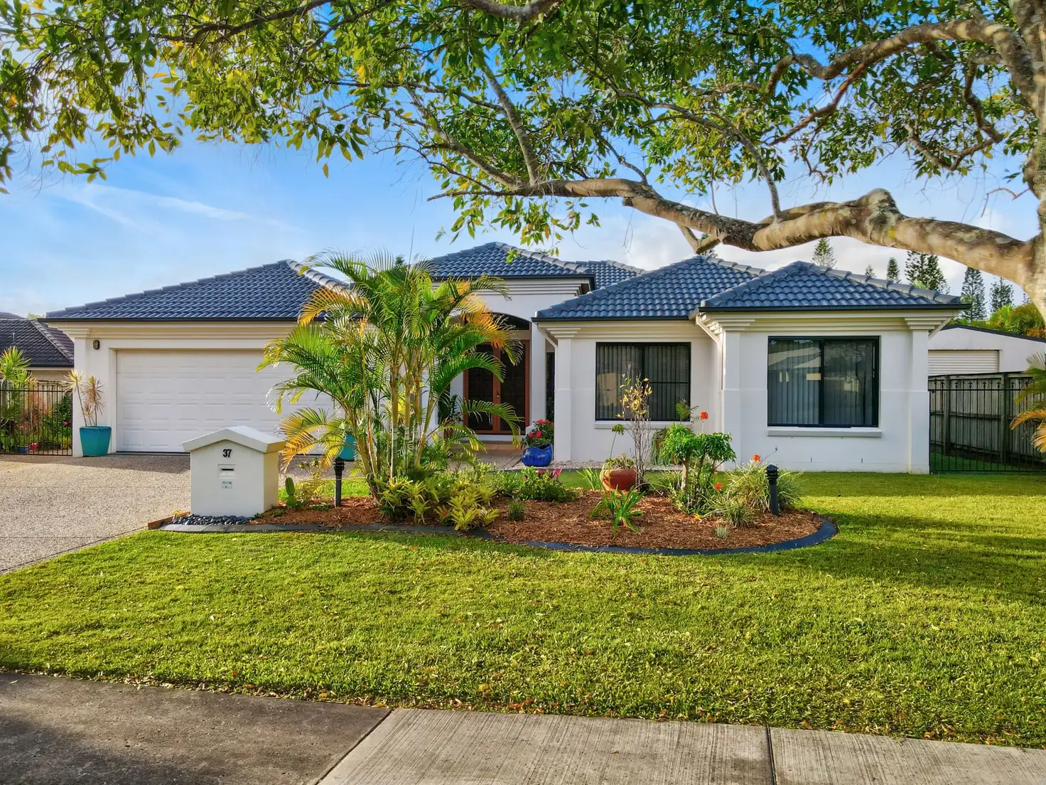 Main view of Homely house listing, 37 Kathleen Drive, Bli Bli QLD 4560