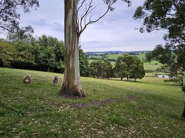 Sixth view of Homely rural property listing, 61 Rendell Road, Neerim East VIC 3831