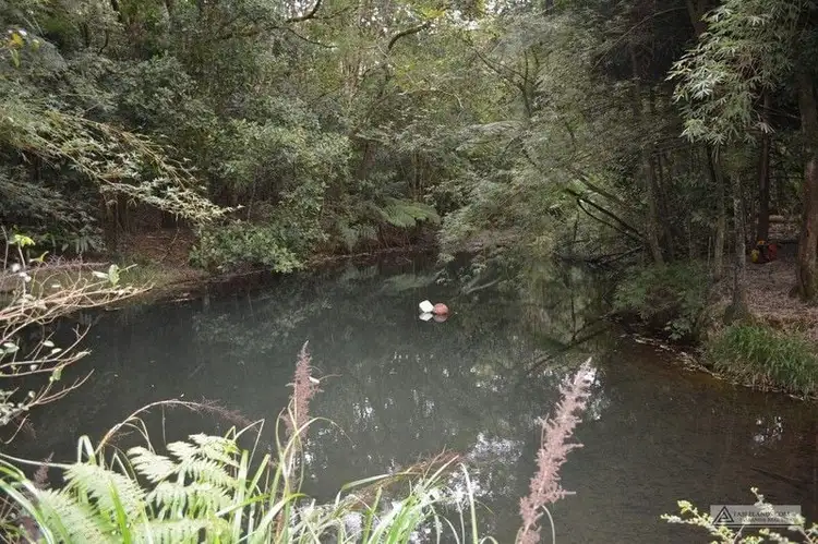 Fourth view of Homely rural property listing, 920 East Evelyn Road, Evelyn QLD 4888