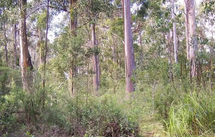 Second view of Homely land listing, Lot 1 Lady Bay Road, Southport TAS 7109