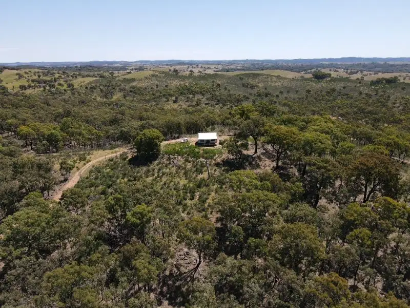 Main view of Homely rural property listing, 2236 Rugby Road, Bevendale NSW 2581