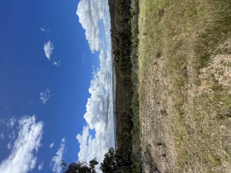 Second view of Homely rural property listing, 2236 Rugby Road, Bevendale NSW 2581