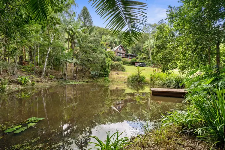 Second view of Homely rural property listing, 67 Rowlands Creek Road, Uki NSW 2484