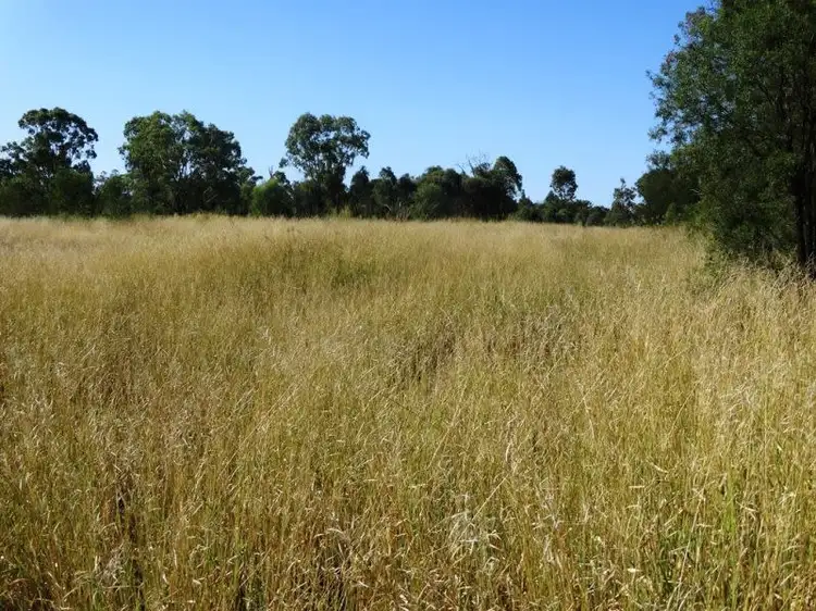 Fifth view of Homely rural property listing, 1017 Chinchilla Wondai Road, Chinchilla QLD 4413