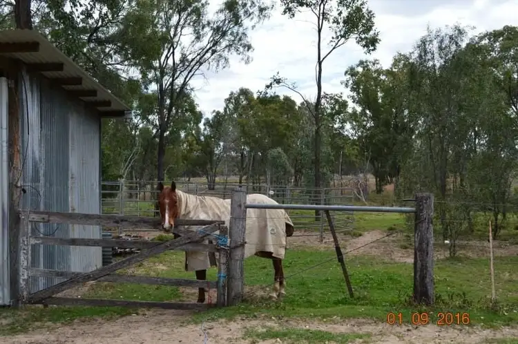 76 Roche Creek Rd, Wandoan QLD 4419