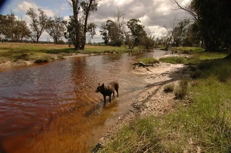 Third view of Homely rural property listing, Address available on request