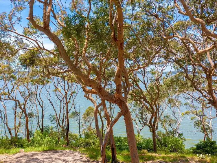 Third view of Homely retirement listing, 8/2 Macleay Drive, Halekulani NSW 2262