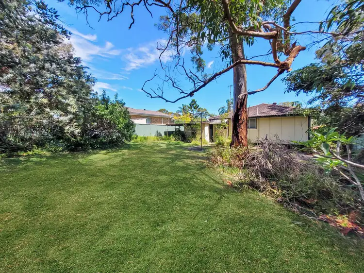 Seventh view of Homely house listing, 201 Scenic Drive, Budgewoi NSW 2262