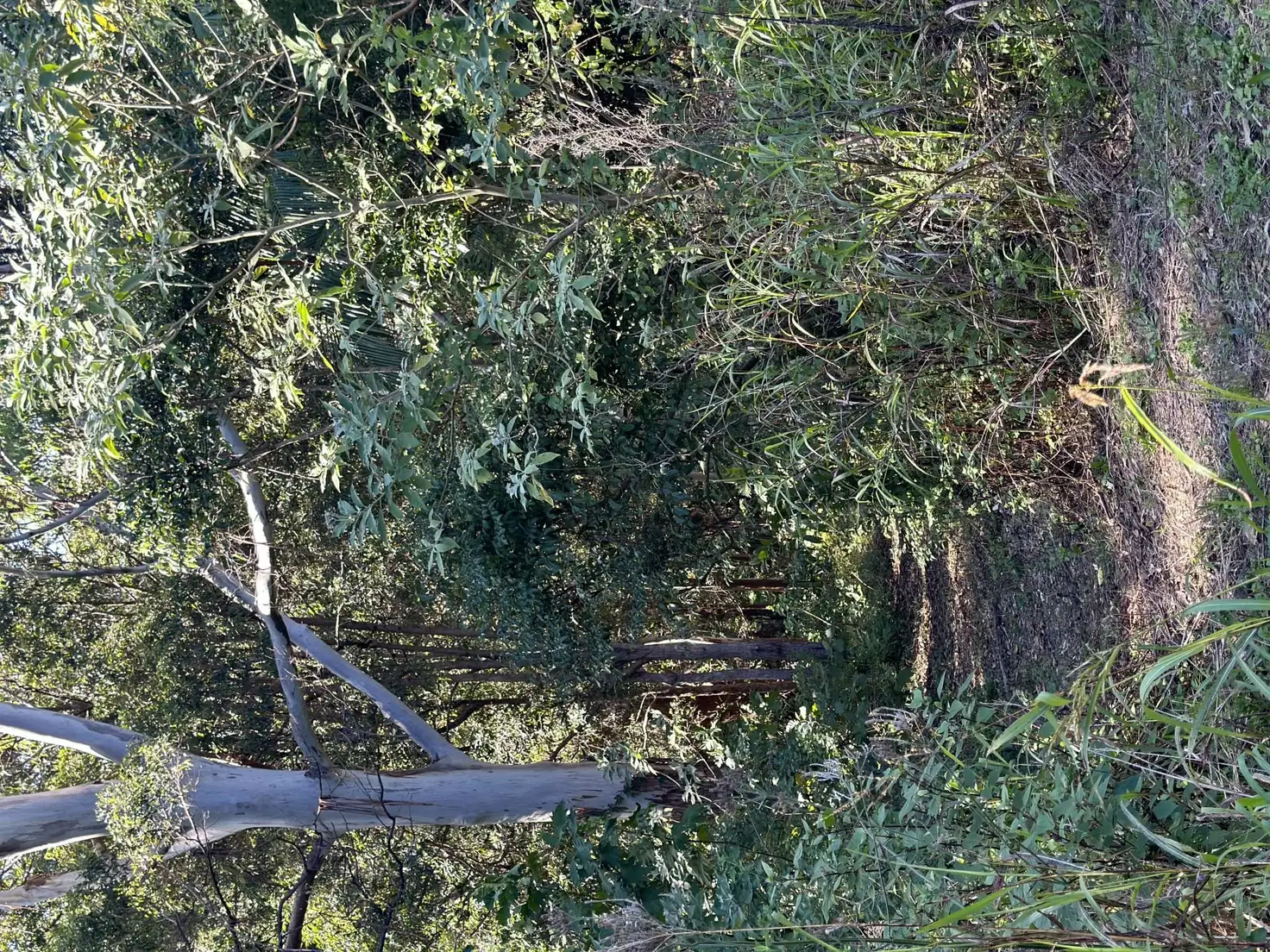 Main view of Homely land listing, 103 Contour Road, Tamborine Mountain QLD 4272