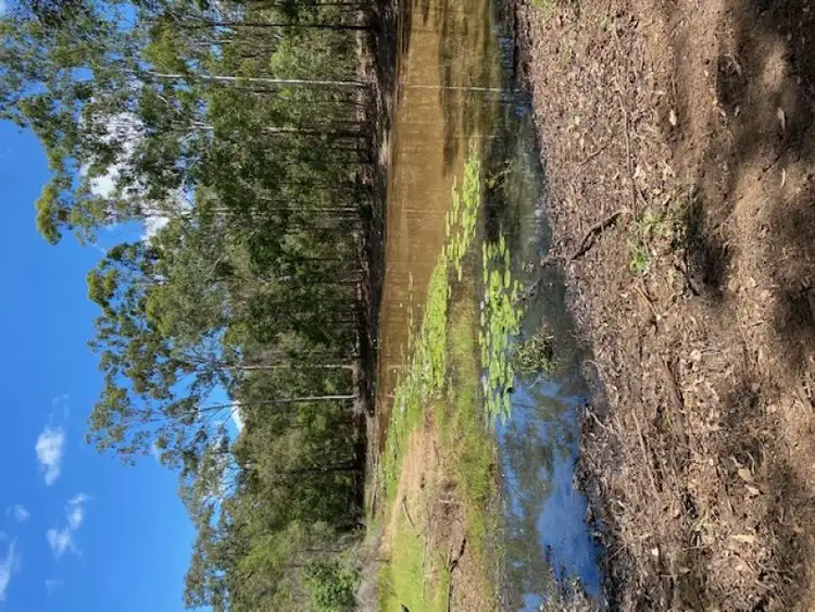 Second view of Homely rural property listing, 66 Gibsons Road, North Isis QLD 4660