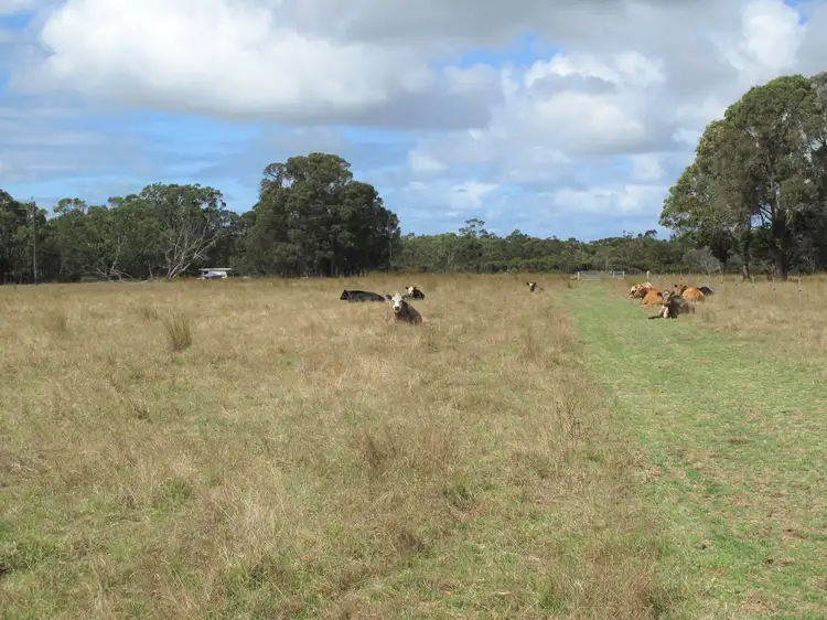 Sixth view of Homely rural property listing, 2685 Scotsdale Road, Kordabup WA 6333