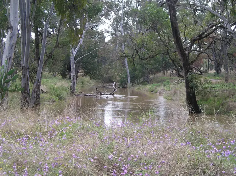 Second view of Homely rural property listing, 2787 Mosquito Creek Road, Mosquito Creek QLD 4387