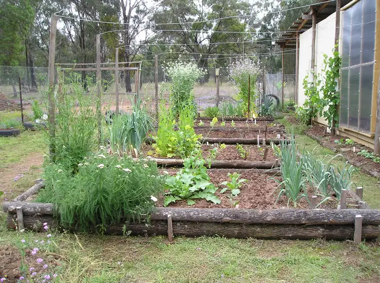Third view of Homely rural property listing, 2787 Mosquito Creek Road, Mosquito Creek QLD 4387