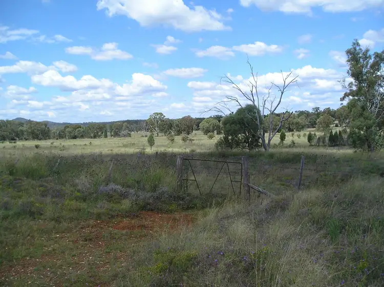 Fourth view of Homely rural property listing, 2787 Mosquito Creek Road, Mosquito Creek QLD 4387