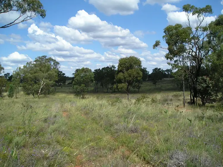 Fifth view of Homely rural property listing, 2787 Mosquito Creek Road, Mosquito Creek QLD 4387