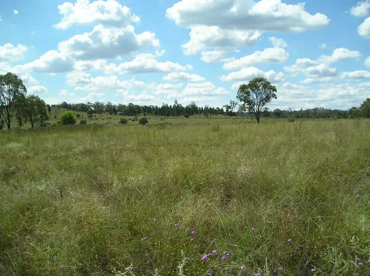 Seventh view of Homely rural property listing, 2787 Mosquito Creek Road, Mosquito Creek QLD 4387