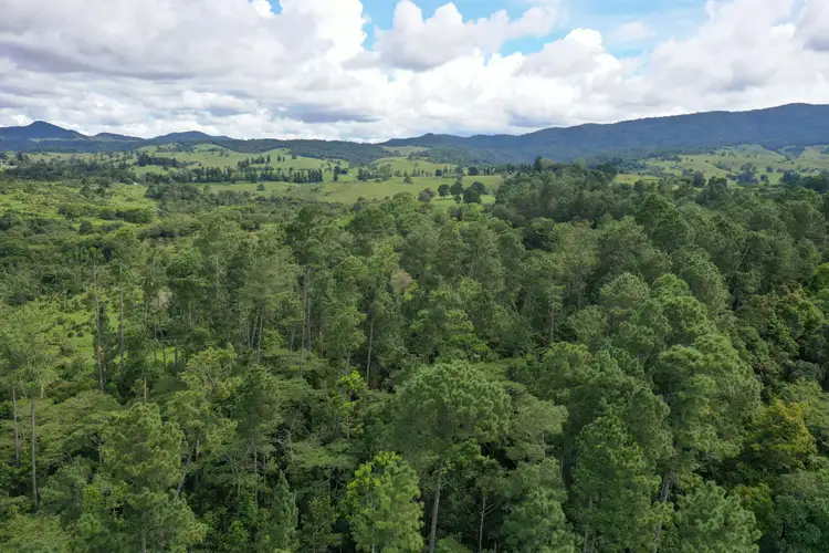 Main view of Homely rural property listing, 145 Middlebrook Road, Middlebrook QLD 4886