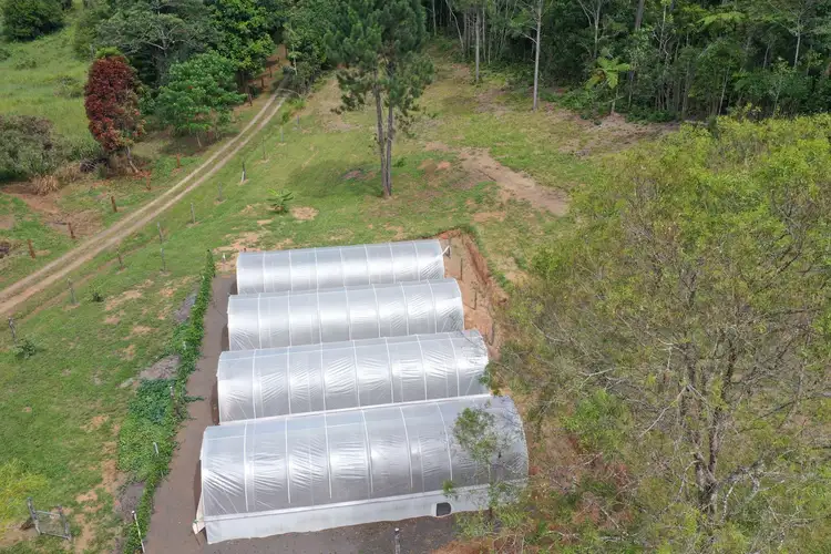 Fourth view of Homely rural property listing, 145 Middlebrook Road, Middlebrook QLD 4886