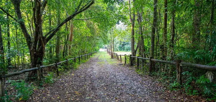 Third view of Homely rural property listing, 364 Little Mulgrave Road, Little Mulgrave QLD 4865