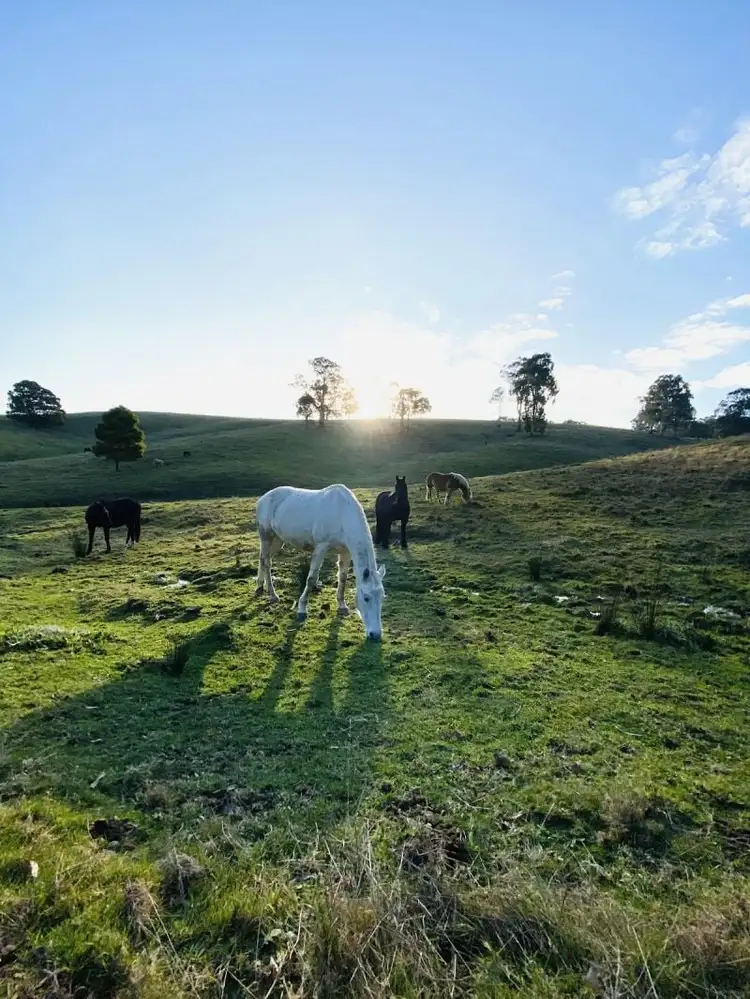 478 Mizpah Settlement Road