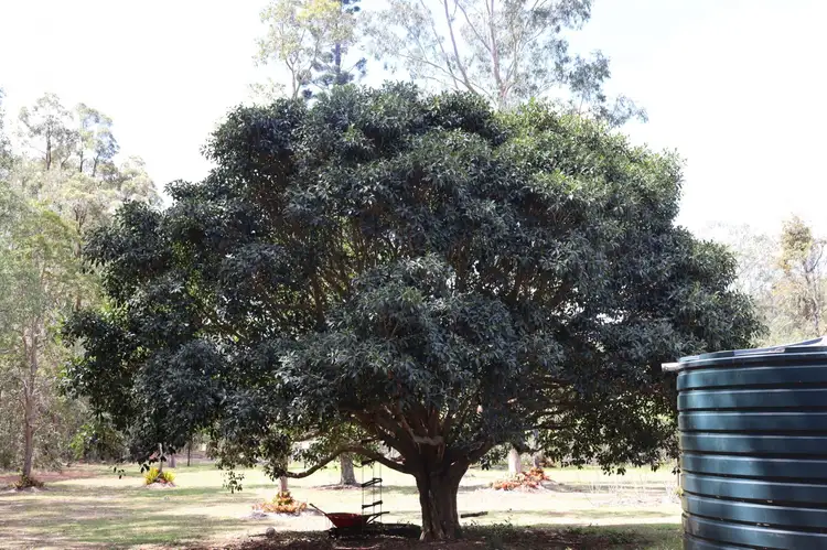 Seventh view of Homely rural property listing, 11 Neusavale Road, Wolvi QLD 4570