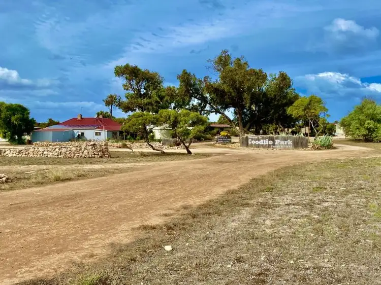 COODLIE PARK 21423 Flinders Highway, Talia SA 5670