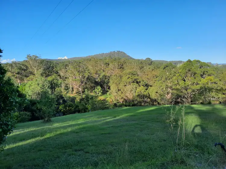 19 Flagstone Road, Legume NSW 2476