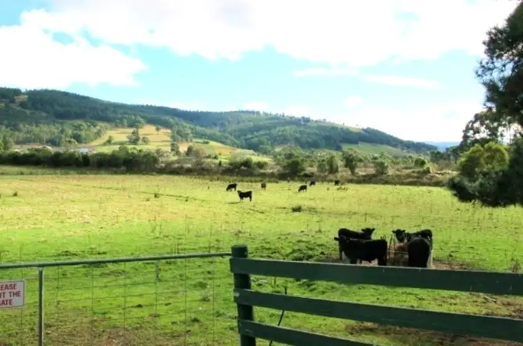 Fourth view of Homely land listing, 8939 Channel Highway, Huonville TAS 7109