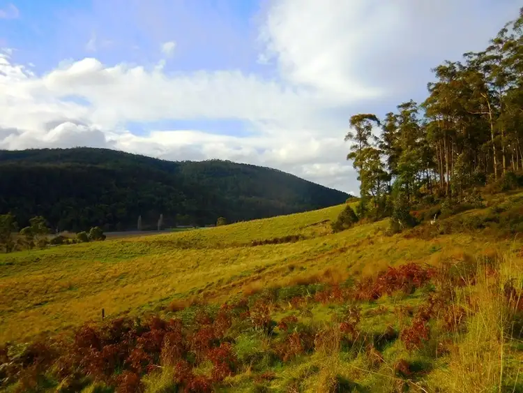 Seventh view of Homely land listing, 30 acres off Abbots Road, Nicholls Rivulet TAS 7112