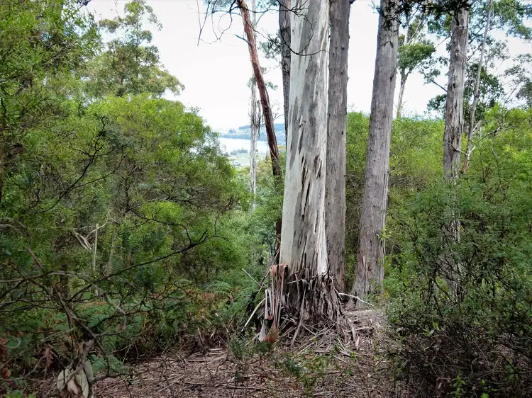 Third view of Homely land listing, Lot 3 Rifle Range Road, Cygnet TAS 7112
