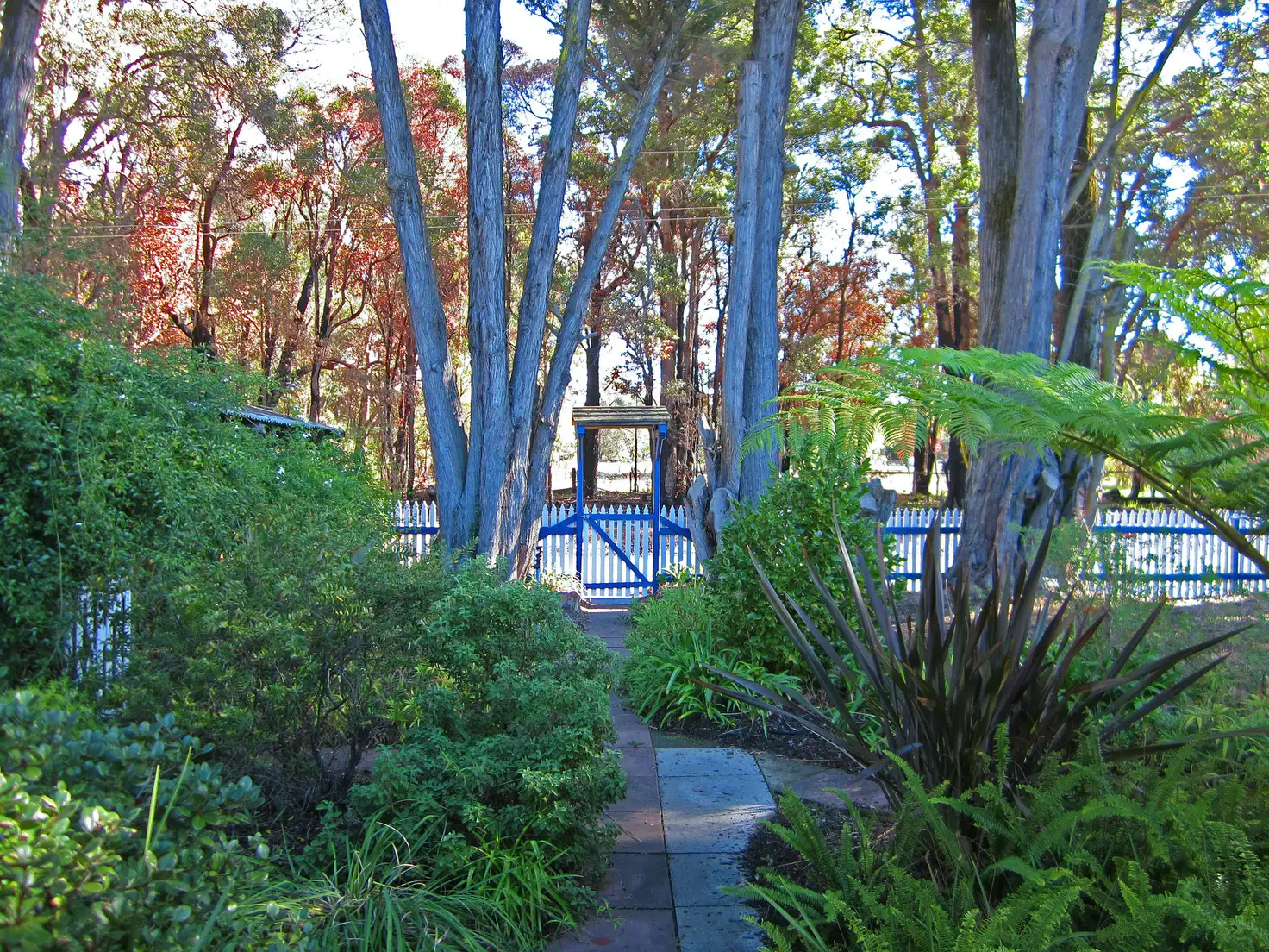 Main view of Homely rural property listing, 81 Montgomery Street, Allanson WA 6225