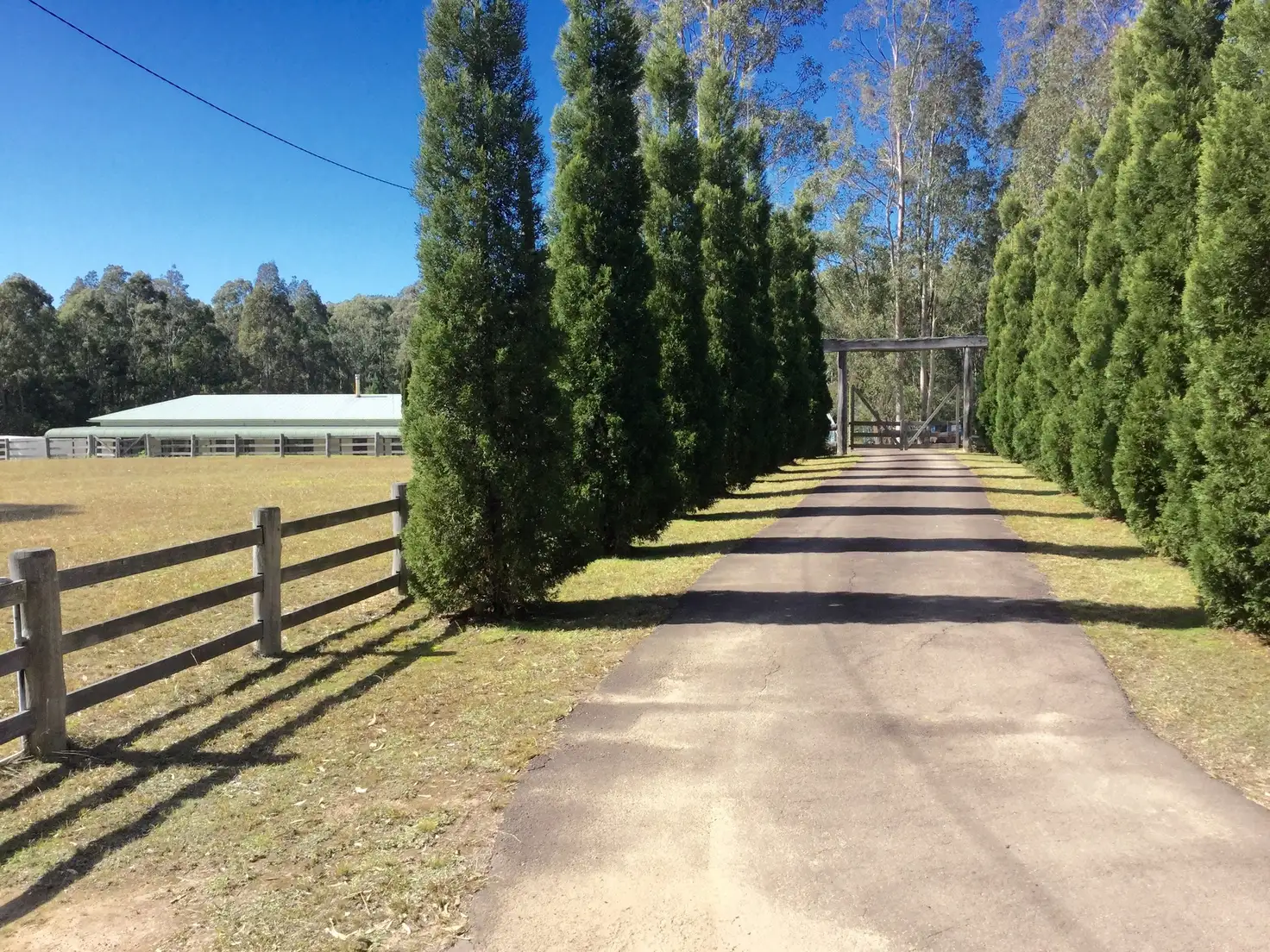 Main view of Homely rural property listing, 51 Howells Road, Abernethy NSW 2325