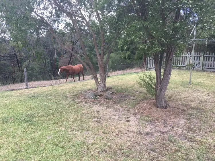 Sixth view of Homely house listing, Address available on request