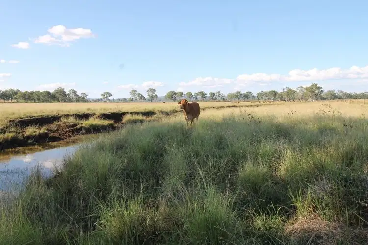Third view of Homely land listing, Lot 4 and Lot 11 Kangaroo Yard Rd, Wondai QLD 4606