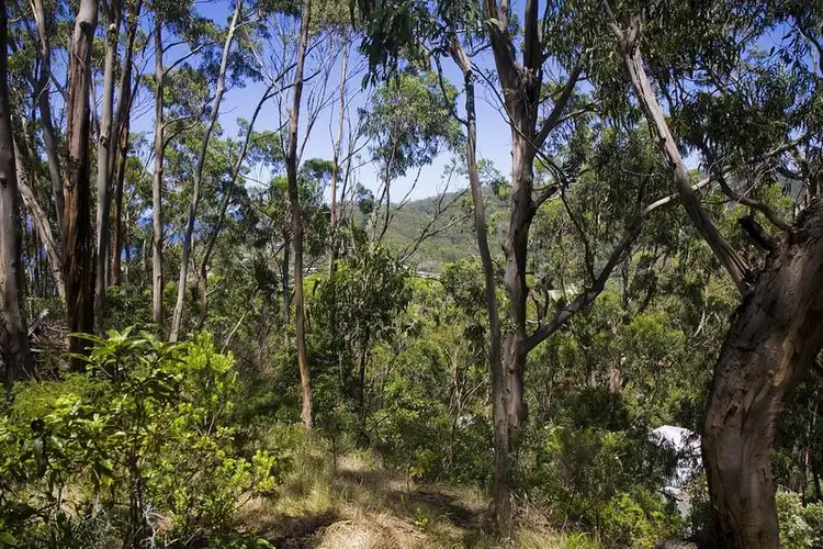 Third view of Homely land listing, 18 Dunoon Road, Wye River VIC 3221