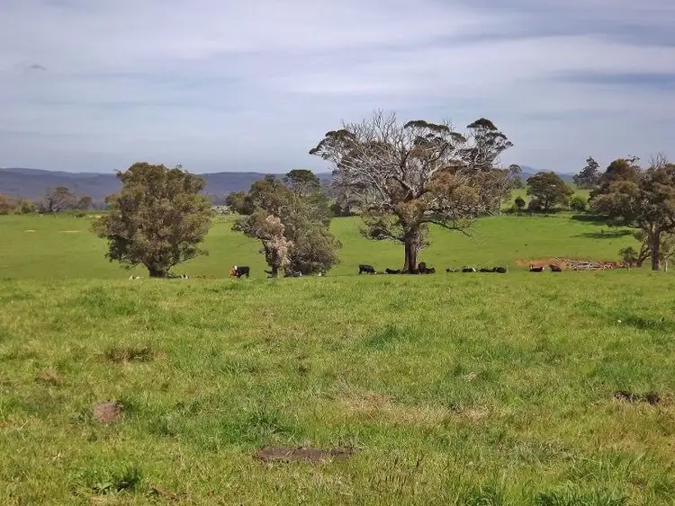 Fourth view of Homely rural property listing, 30 Paynters Road, Hill End VIC 3825
