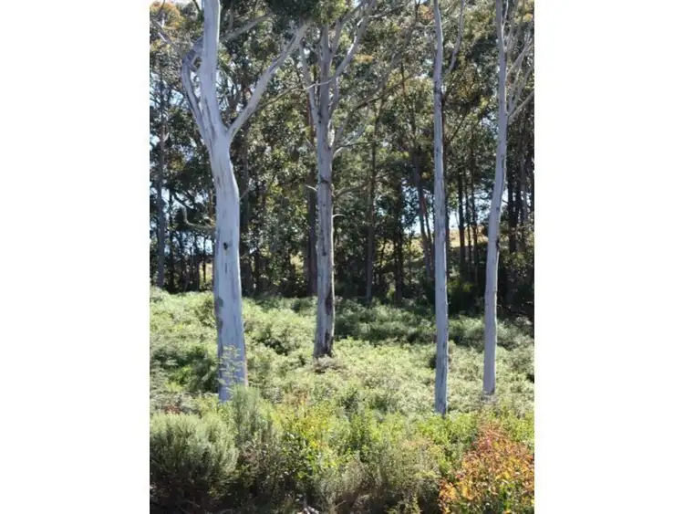 Seventh view of Homely land listing, Lot 3 Doodys Hill Road, Port Huon TAS 7116