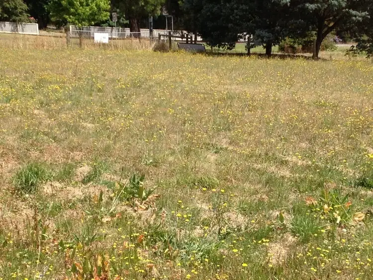 Second view of Homely land listing, LOT 3, 2379 Birregurra-Forrest Road, Forrest VIC 3236