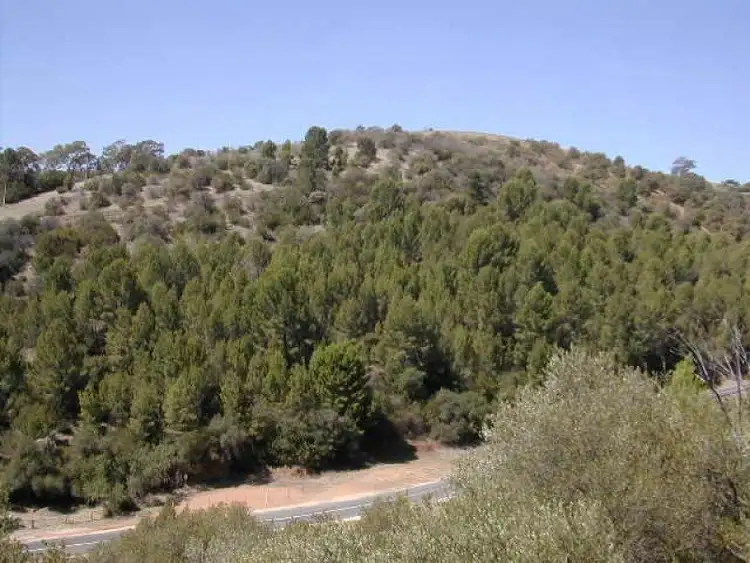 Fourth view of Homely land listing, LOT 3, 15 Hayward Drive, Mount Osmond SA 5064