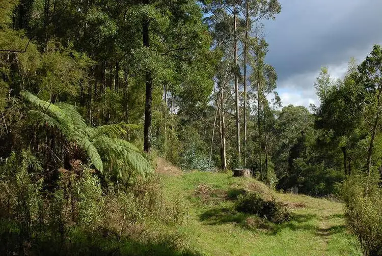 80 Old Hordernvale Access Road, Apollo Bay VIC 3233