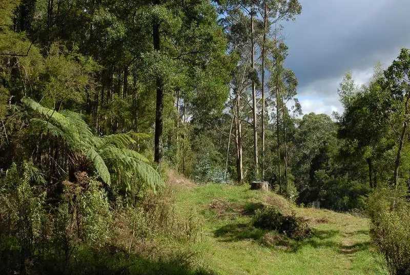 Main view of Homely land listing, 80 Old Hordernvale Access Road, Apollo Bay VIC 3233