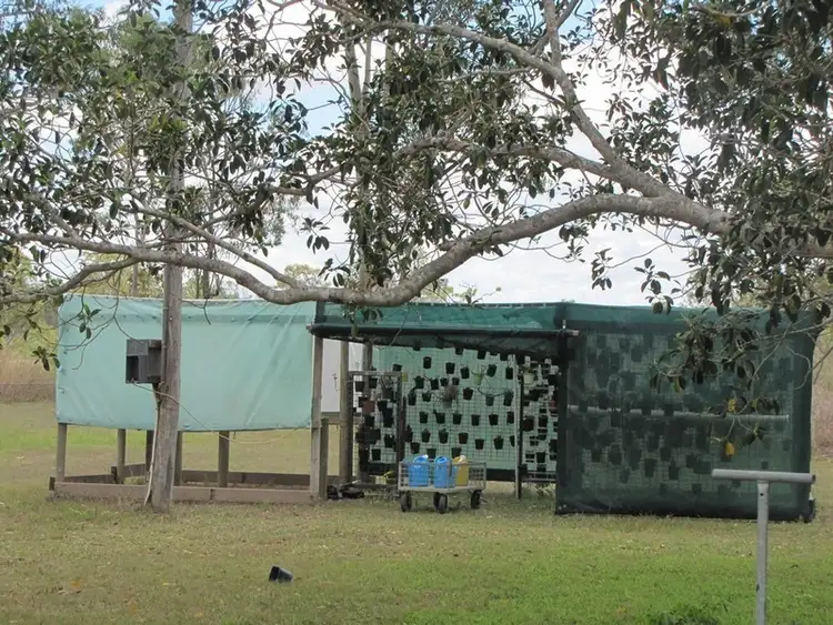 Seventh view of Homely rural property listing, 50934 Bruce Highway, Calliope QLD 4680