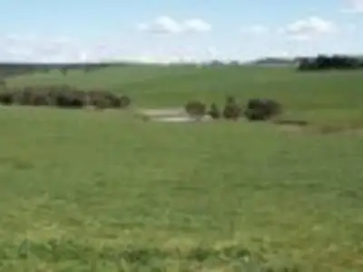 Second view of Homely land listing, 595 Birregurra-Yeodene Road, Birregurra VIC 3242