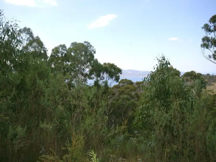 Third view of Homely land listing, 39 Woodcutters Road, Tolmans Hill TAS 7007