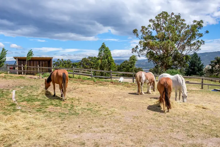 Third view of Homely house listing, 10 Schultz Street, Cradoc TAS 7109