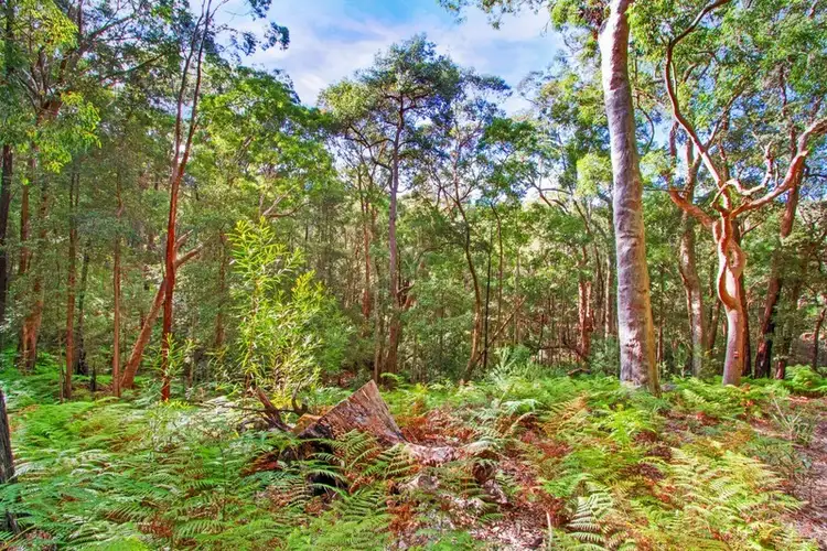 Seventh view of Homely land listing, 217 Burralow Road, Kurrajong Heights NSW 2758