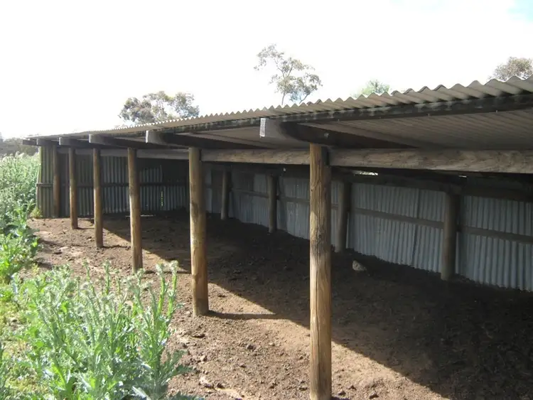Fifth view of Homely land listing, 105 Bobeyan Road, Shannons Flat NSW 2630