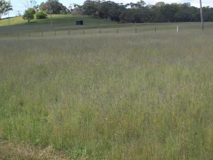 Sixth view of Homely rural property listing, 201 Goragilla Road, Purlewaugh NSW 2357